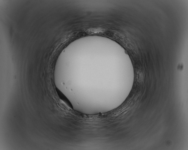 X0000098081393200804251502