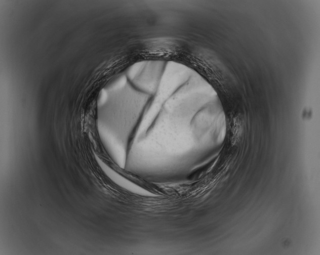 X0000098081394200804251502