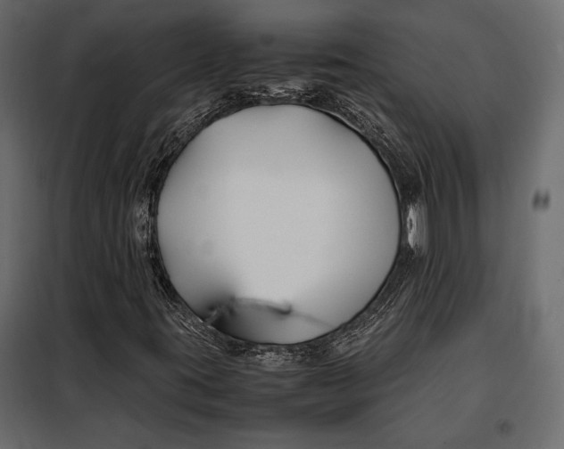 X0000098081395200804251502