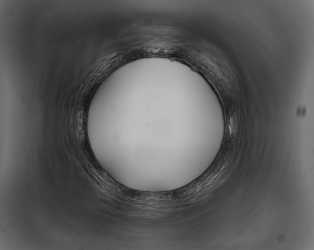 X0000098081396200804251502