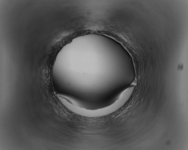 X0000098081398200804251502