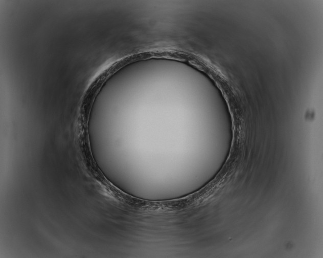 X0000098081400200804251502