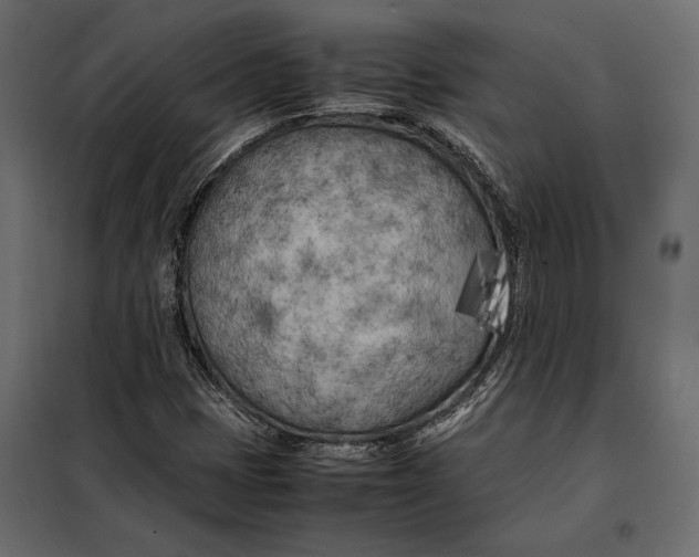 X0000098081401200804251502