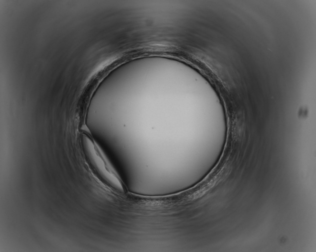 X0000098081402200804251502