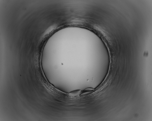 X0000098081403200804251503