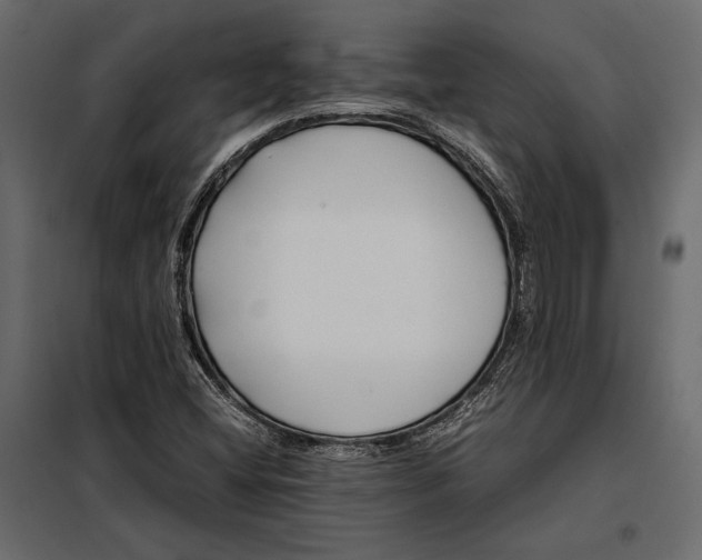 X0000098081404200804251503