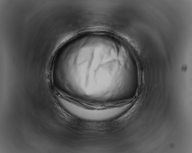 X0000098081405200804251503