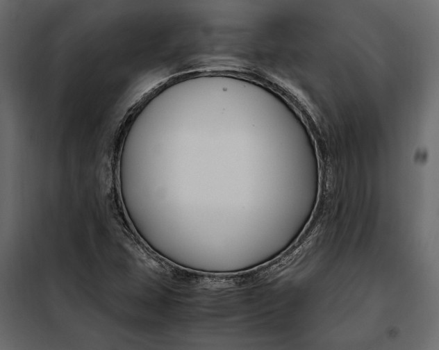 X0000098081407200804251503