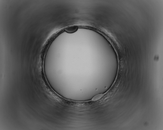 X0000098081408200804251503