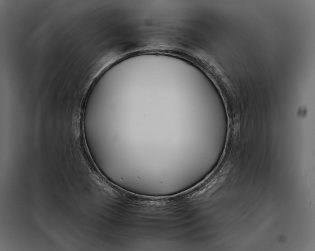 X0000098081409200804251503