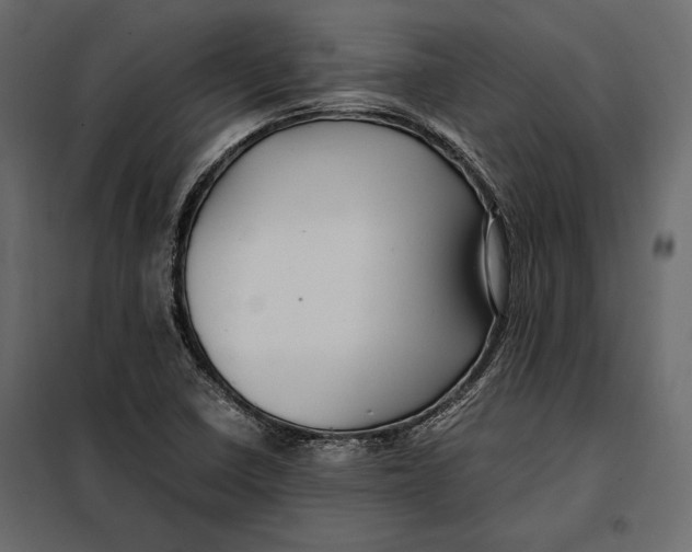 X0000098081410200804251503