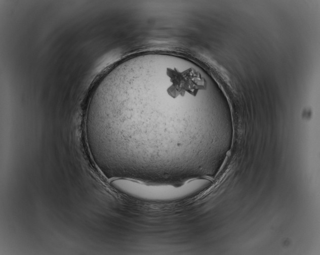 X0000098081411200804251503