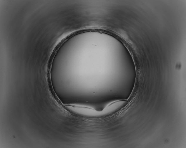 X0000098081412200804251503