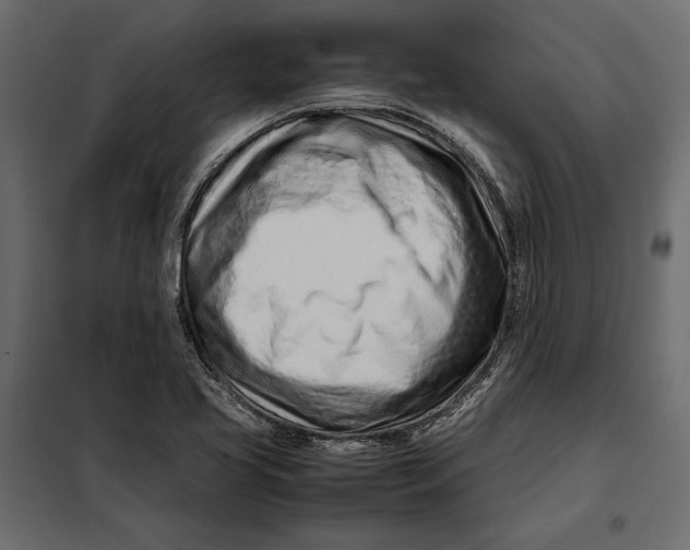 X0000098081413200804251503