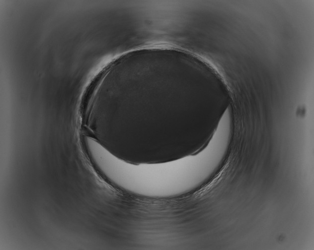 X0000098081414200804251503