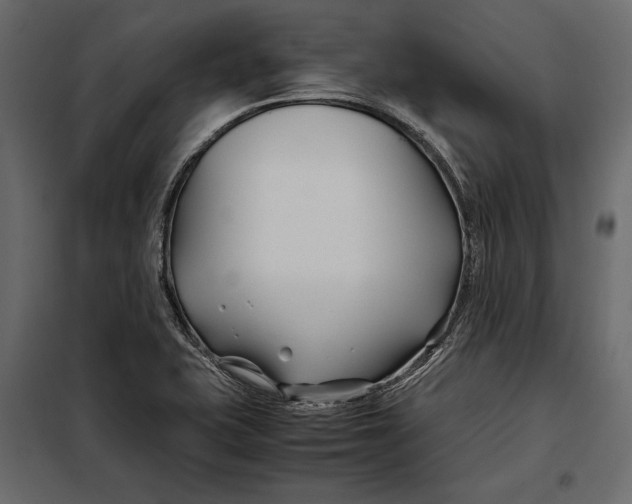 X0000098081415200804251503