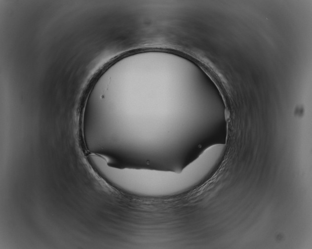 X0000098081416200804251503