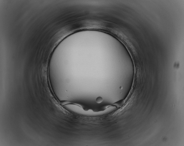 X0000098081417200804251503