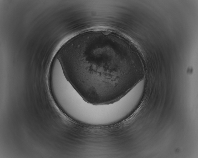 X0000098081418200804251503