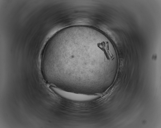 X0000098081419200804251503