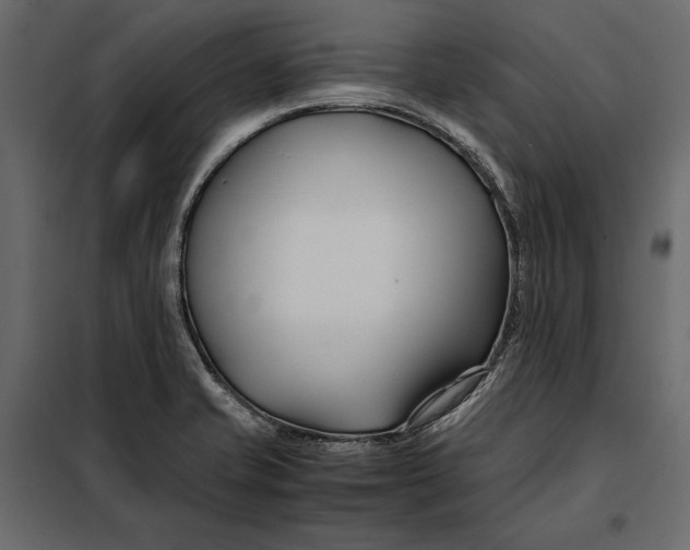 X0000098081421200804251503