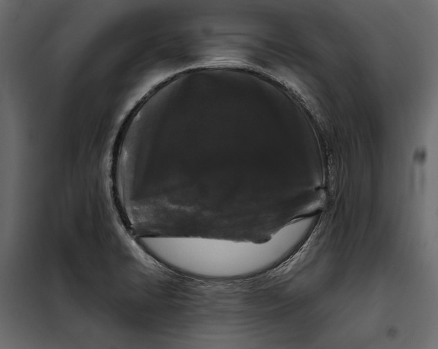 X0000098081422200804251503