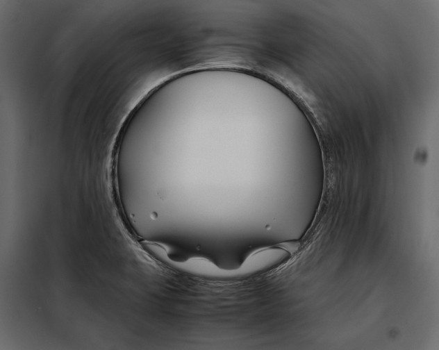 X0000098081423200804251503