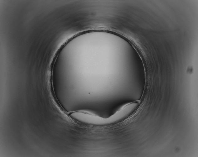 X0000098081424200804251503