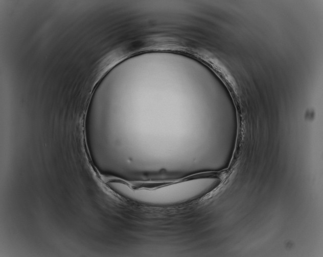 X0000098081425200804251503