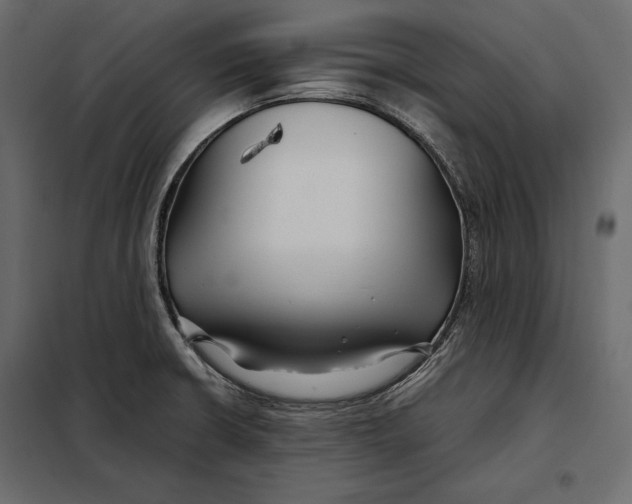 X0000098081426200804251503