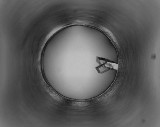 X0000098081427200804251503