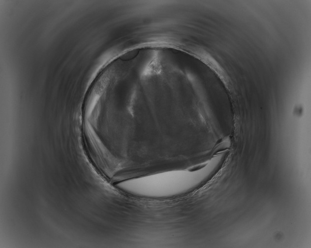 X0000098081428200804251503