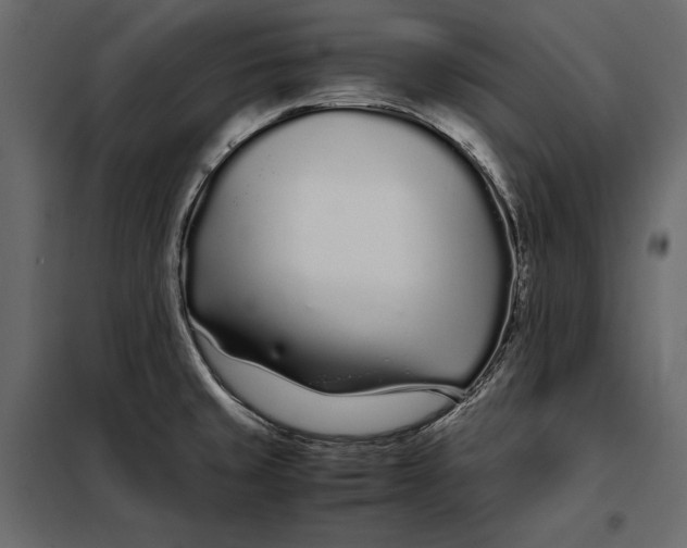 X0000098081429200804251503