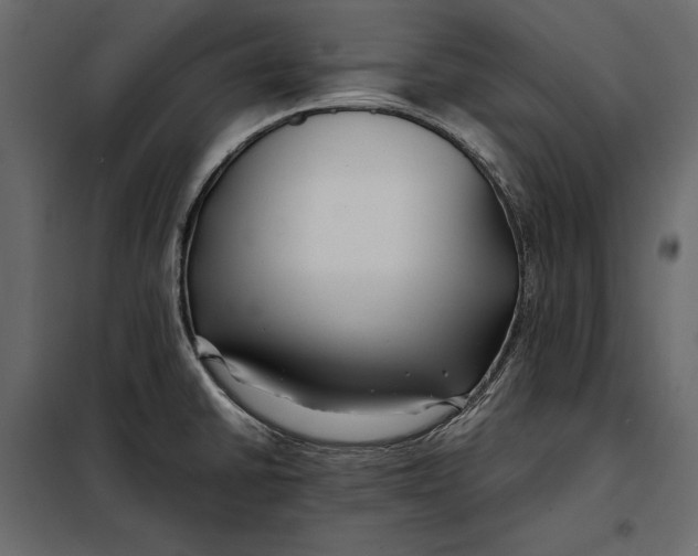 X0000098081430200804251503