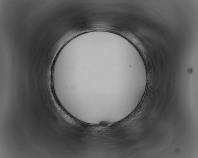 X0000098081431200804251503