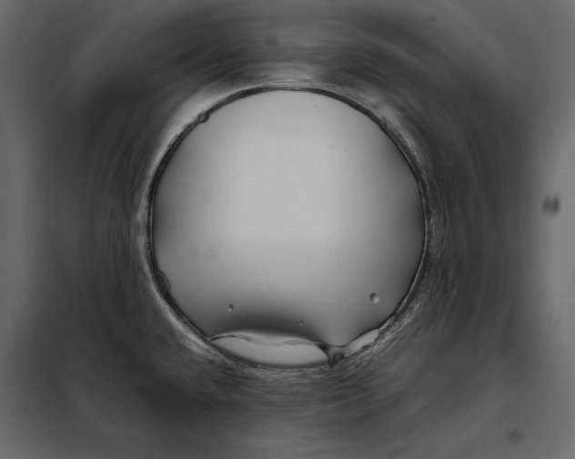 X0000098081432200804251503