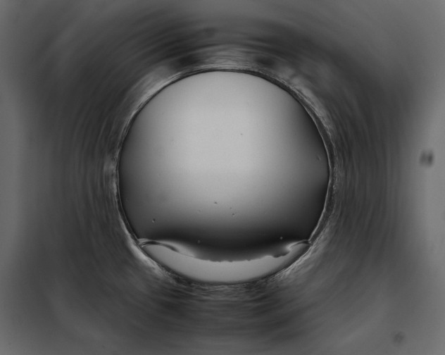 X0000098081433200804251503