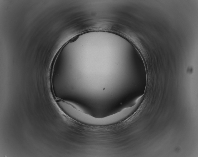 X0000098081434200804251503