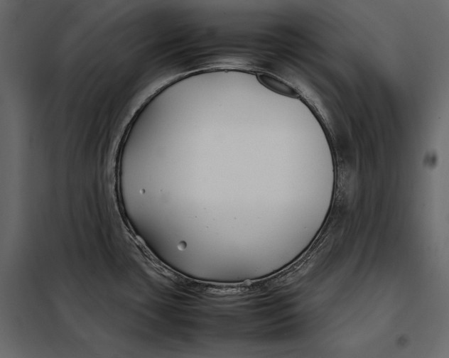 X0000098081435200804251503