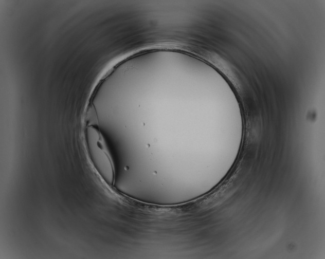 X0000098081436200804251503