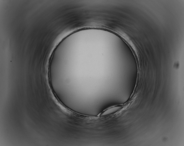 X0000098081437200804251503