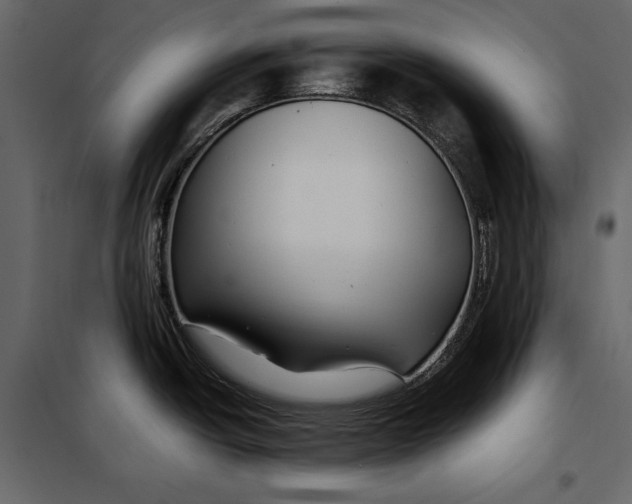 X0000098081438200804251503