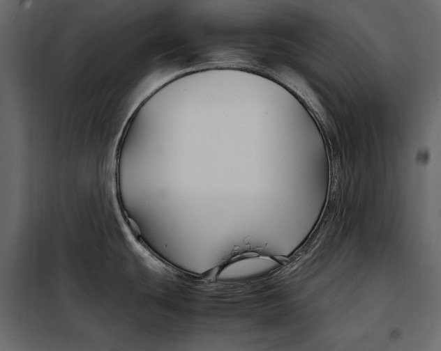 X0000098081439200804251503