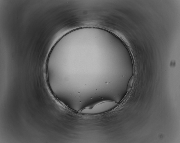 X0000098081440200804251503