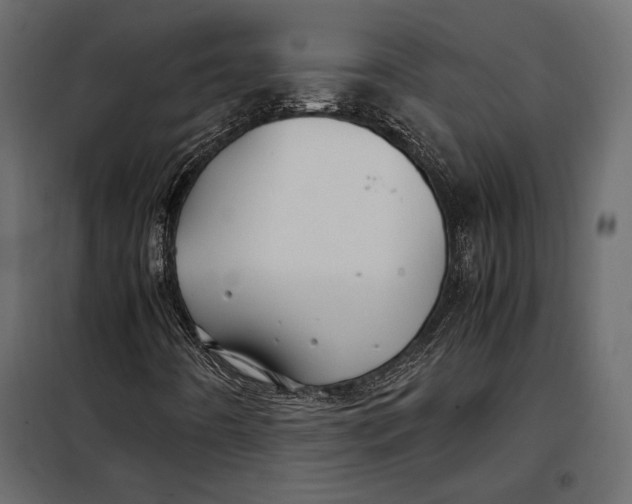 X0000098081442200804251502