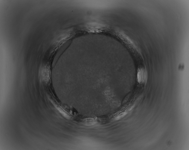 X0000098081444200804251502