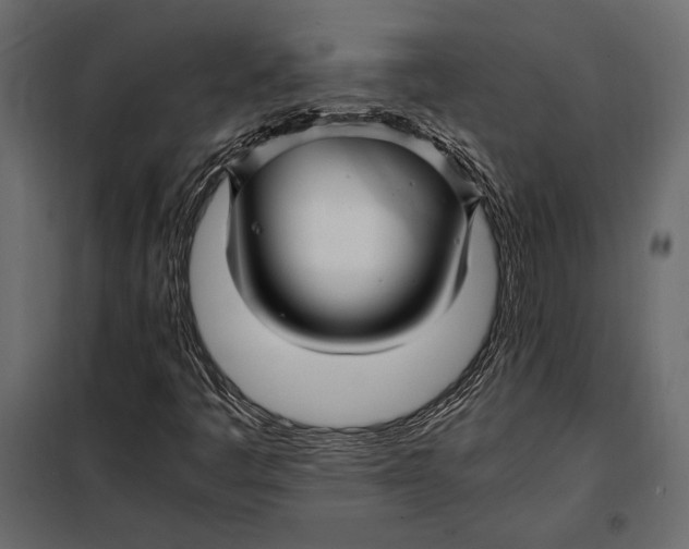 X0000098081445200804251502