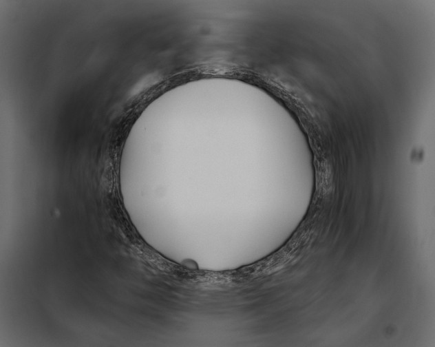 X0000098081446200804251502