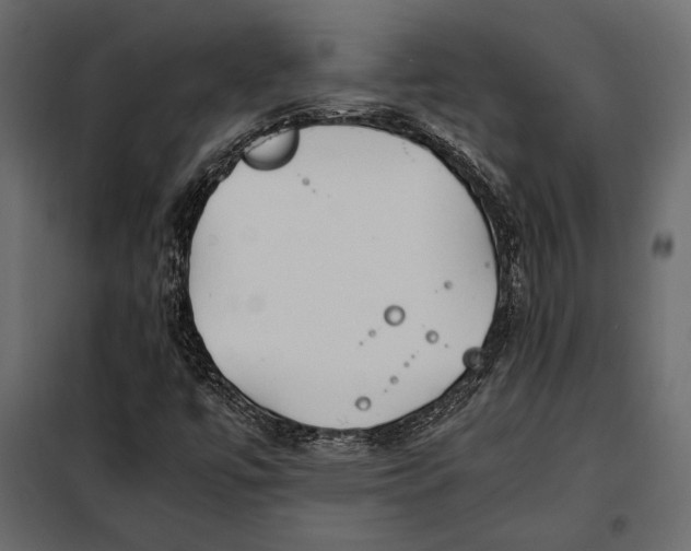 X0000098081447200804251502