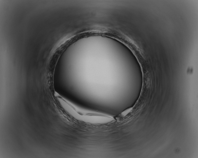 X0000098081448200804251502